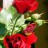 Роза плетистая, красная, местная устойчивая форма - Роза плетистая, красная, местная устойчивая форма, побег с цветами.