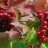 Калина красная, Viburnum opulus - Калина красная, Viburnum opulus, грозди